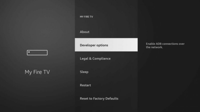 Firestick Developer options